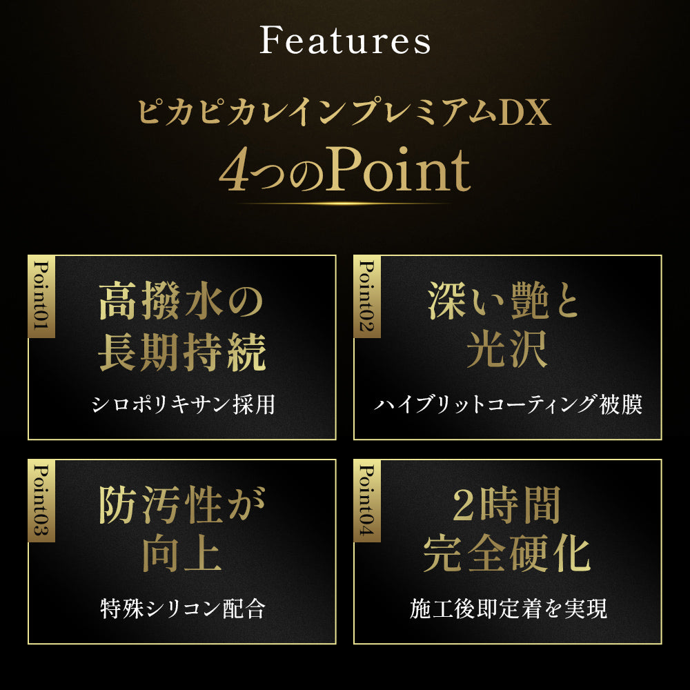 ピカピカレインプレミアムデラックスセット｜下地処理付き最上位ガラスコーティング【TOP-PREMIUM】