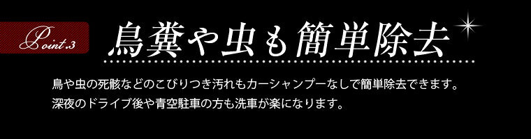 ピカピカレイン 親水コーティング 車 洗車 親水性 簡単 ワックス メンテナンス 水滴 業務用 保護 ボディ 日本製 硬化 汚れ 初心者 ガラスコート艶 ガラスコーティング 光沢 3年間 ツヤ デポジット シリカ 自動車 耐久 バイク スーパーピカピカレイン[TOP-SUPER]